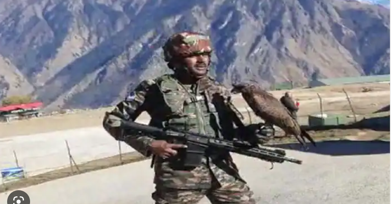 Indian Army trains kites to destroy enemy drones